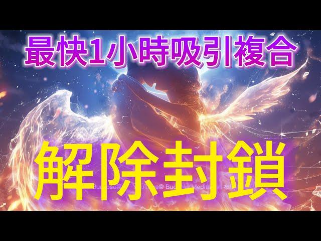 吸引力法则 音樂 潛意識正緣複合：最快一小時吸引舊人回歸 TA意識到不能沒有你 解除封鎖 敞開心扉 除了你以外對任何人都沒感覺（加入528hz 愛的頻率波）
