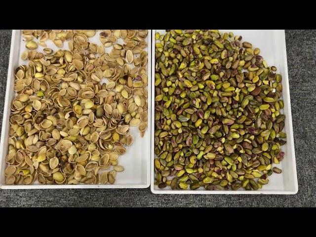 infrared optical sorting for pistachio