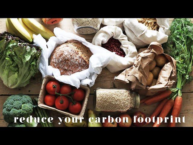 TOP 5 WAYS TO REDUCE YOUR CARBON FOOTPRINT