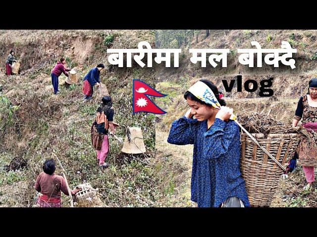 बारीमा मल बोक्दै#vlog#nepal@ChannelMunu532