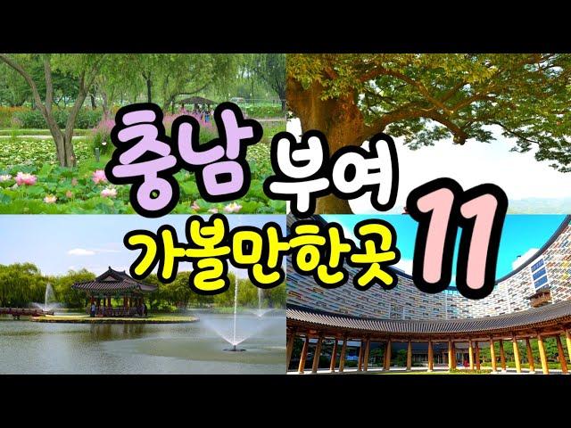 충남부여1박2일 여행지 |궁남지 |부소산성 |낭만여행 황포돛배| 롯데리조트부여 |맛집 카페등 꼭가봐야 하는 여행지|부여여행코스|a place worth vising in buyeo