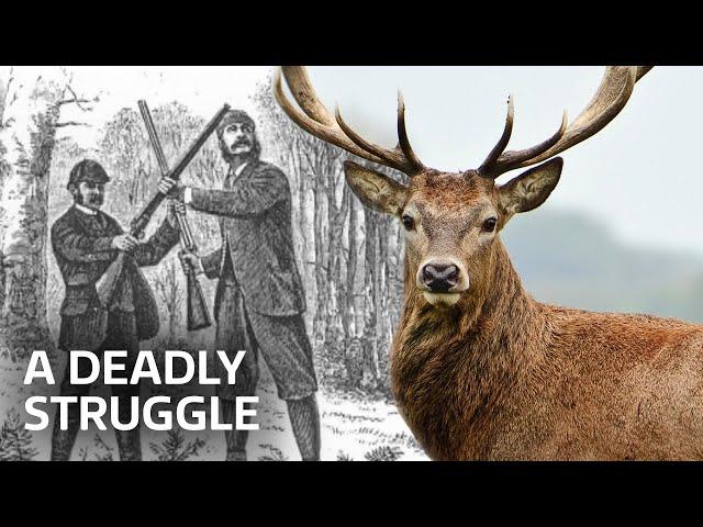 Poaching: A Deadly Struggle | Our History