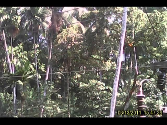 UAV in CEB