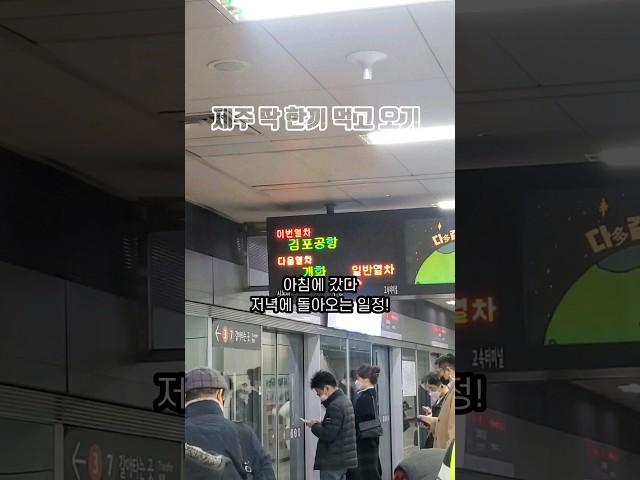 #제주도 에서 딱 한끼만 먹고 올 수 있다면? #현지인추천