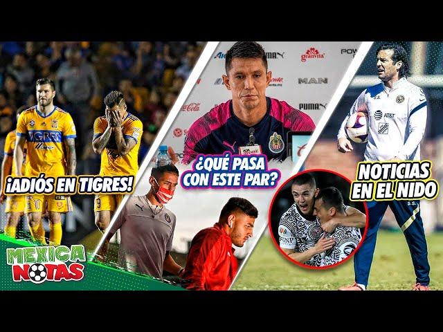 ADIÓS crack de Tigres|¡Molina CONFIESA POR QUÉ Vega y Antuna NO RINDEN en Chivas!|NOTICIAS en el Ame