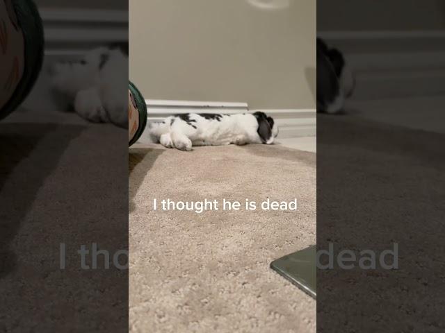 I thought he is dead 