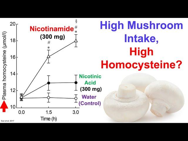 High Mushroom Intake, High Homocysteine?