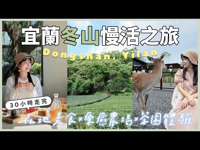 【30 Hours in Yilan】Local Delicacies | Sanfu Leisure Farm | Tea Farm Tour