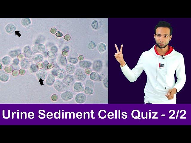 Urine Sediment Cell Identification Training Quiz - 2/2