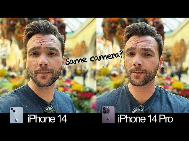 iPhone 14 vs iPhone 14 Pro Real World Camera Test! Are They The Same?