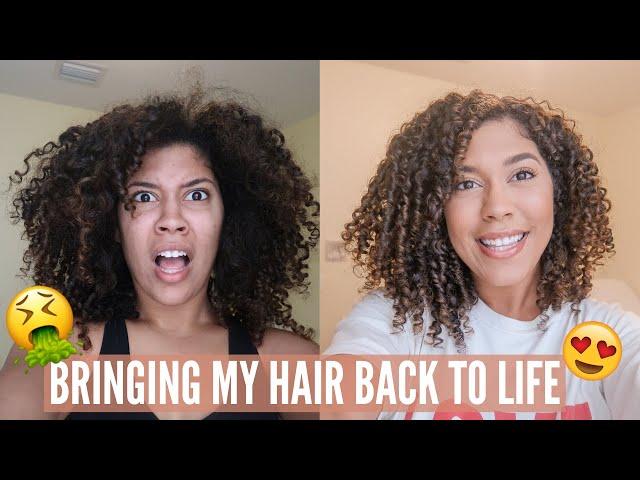 BRINGING MY CURLY HAIR BACK TO LIFE: TAKING MY HAIR FROM DRY AND BRITTLE TO MOISTURIZED AND DEFINED