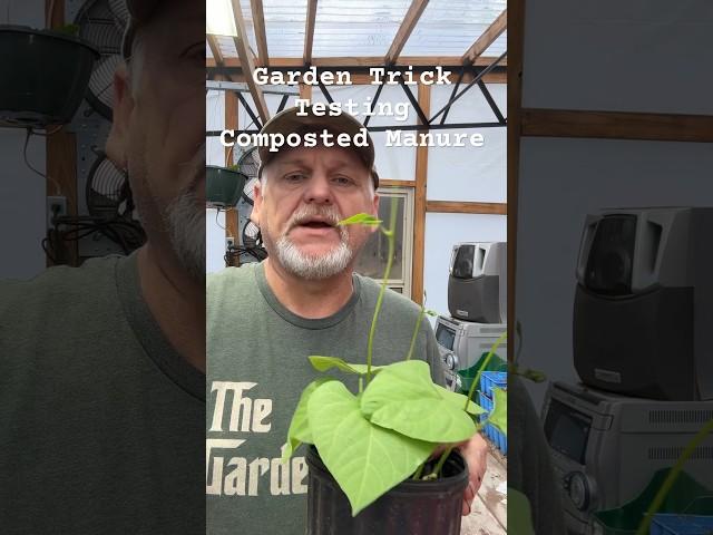 Is Your Garden Safe? Try This Hack!