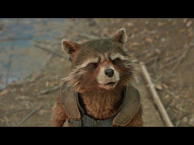 Rocket's Called a Trash Panda in Marvel's 'Guardians of the Galaxy Vol. 2' (2017)