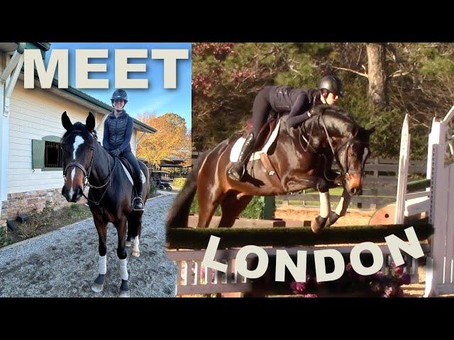 I bought a new horse!! | ride London with me