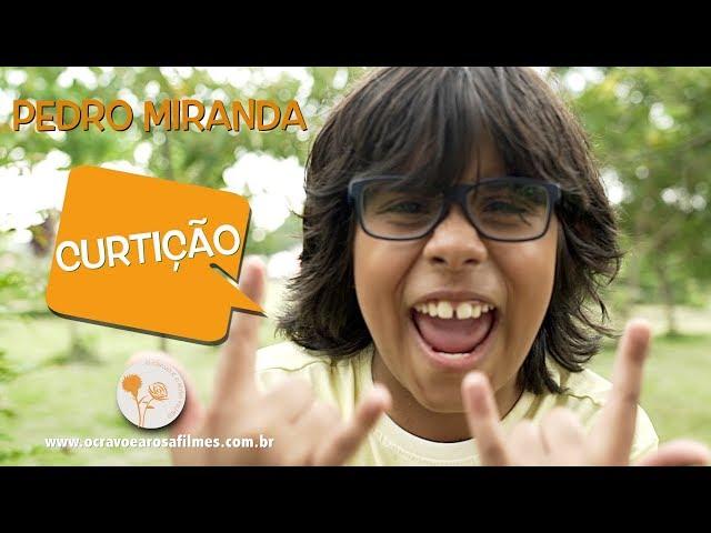 Pedro Miranda - Curtição