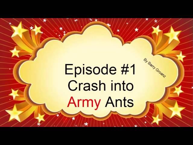 Drone Crash Army Ants!