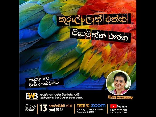 කුරුල්ලොත් එක්ක පියාඹන්න එන්න (Part 1) l Feathers