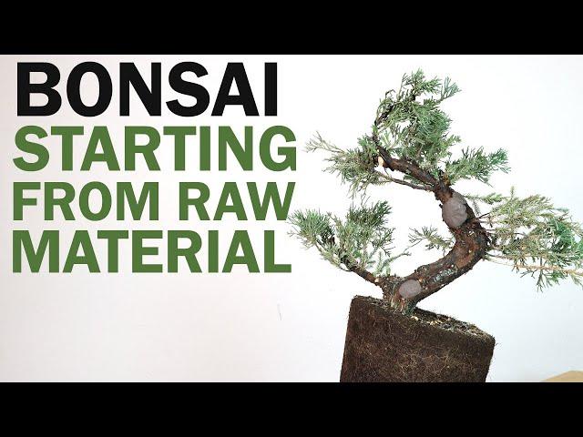 Creating a Bonsai from Raw Material