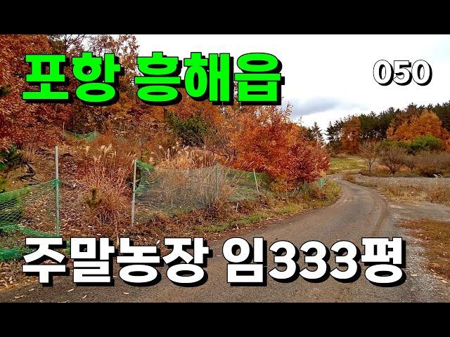 포항 흥해읍 곡강리 주말농장 임야 333평 | 050