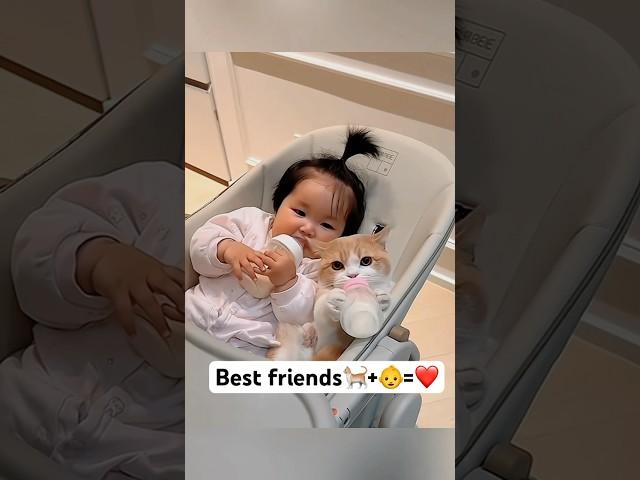 Best Friends Forever ️ #cats #catsandbabies #catslovers