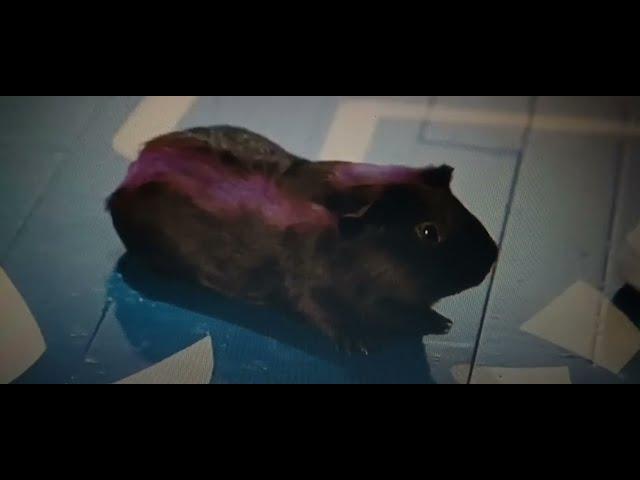 Sky High but only when Guinea Pig Magenta is on screen