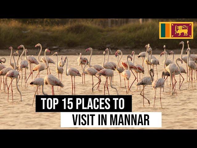 Top 15 places to visit in Mannar | Sunnysl Travels