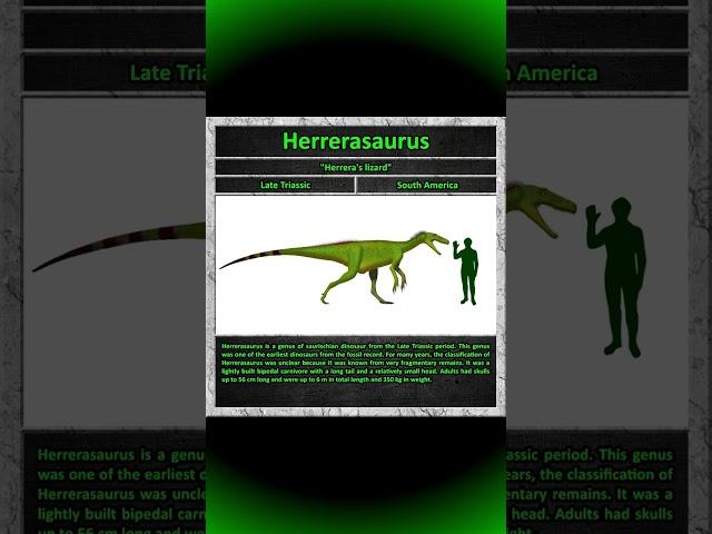Herrerasaurus