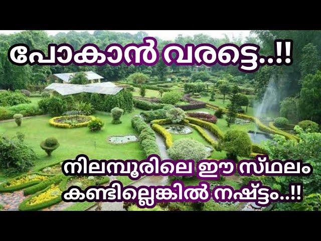 Nilambur Bioresource Nature Park/Taxonomic Garden/Butterfly Garden/Rubyn's World