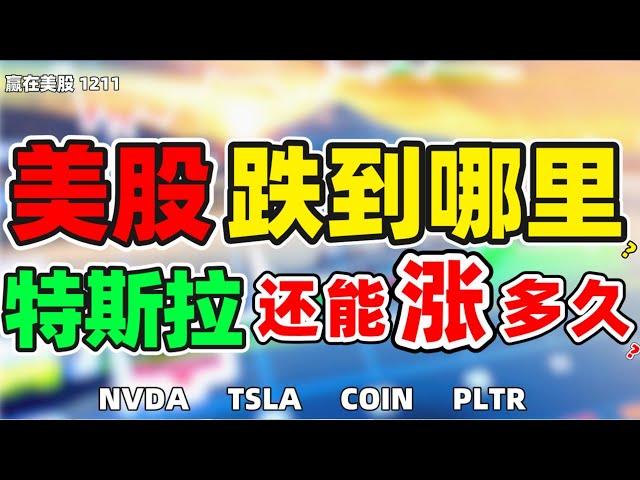 股票|美股|美股分析|美股跌到哪里？特斯拉还能涨多久？#NVDA#TSLA #COIN #PLTR