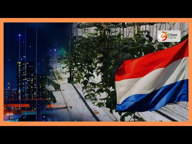 SMART FARM | Focus on horticulture farming in the Netherlands