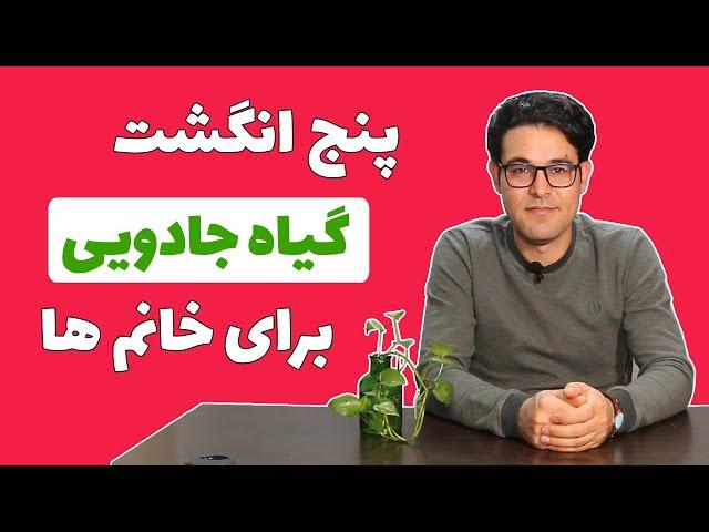 گیاه ویتاگنوس | پنج انگشت | قاعدگی نامنظم | یائسگی زودرس | گرگرفتگی یائسگی