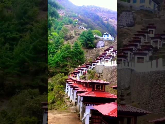 #youtubeshorts #video #highlights #shortsvideo #trailrunner