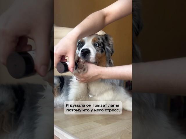 Мыло с WB #307874530 и воск #276247301 от красных лапок Продолжение в комментариях