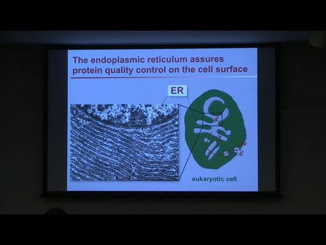 Peter Walter (UCSF) on "How Our Cells Cope with Stress and Why it Matters"