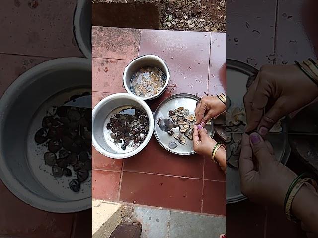 khaditale shiplya  #mule #food #tisrya #seafood #cook