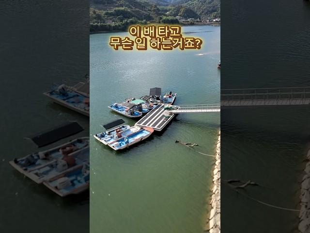 #섬진강 #하동 #구례군 #구례 #하동여행 #구례여행 #전남여행 #가을풍경 #정동원 #만약에 #미스터트롯