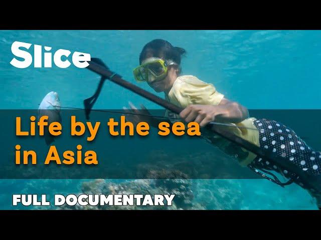 Women earning their stripes in the sea | SLICE | FULL DOCUMENTARY