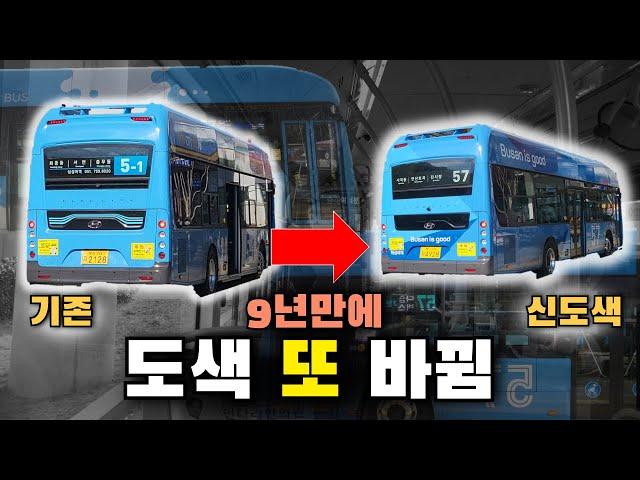 9년만에 또 도색이 바뀐다고? 내년부터 바뀌는 새로운 도색 버스 타봄!