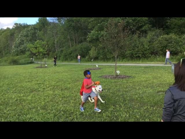 HERO Dog Toys Commercial Shoot