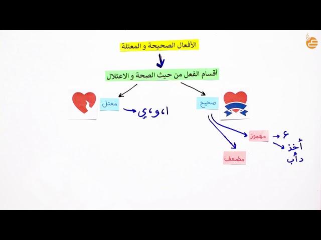 مراجعات عين | الافعال الصحيحة والمعتلة