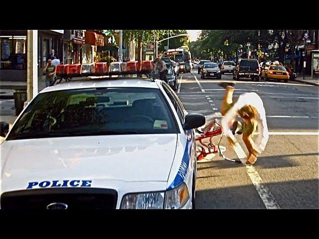 Bike Lanes by Casey Neistat