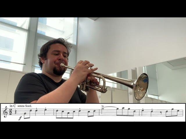 Trumpet Excerpt - Ravel/Concerto in G - Tassio Furtado Trumpet