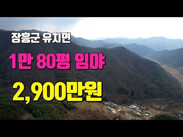 [전남토지매매] #1783 장흥군 유치면 1만80평 2,900만원