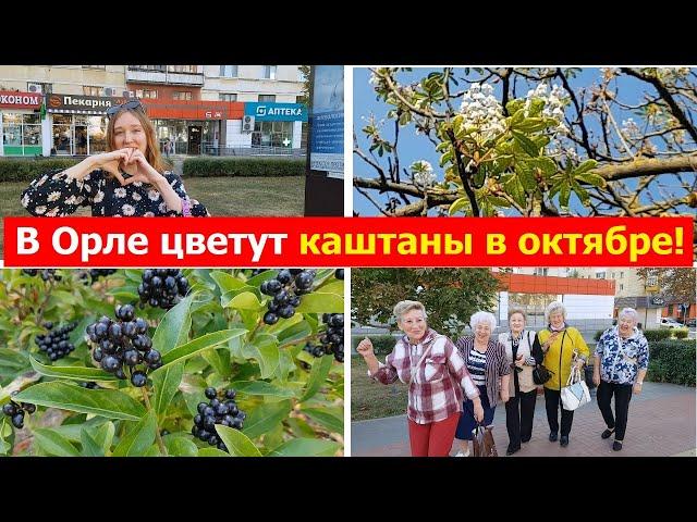 240930 Октябрь цветёт каштан Орловский титаник Певицы парка Волчьи ягоды Бульвар Победы ОГИК г Орёл