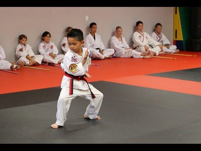 Dylan's Black Belt Journey