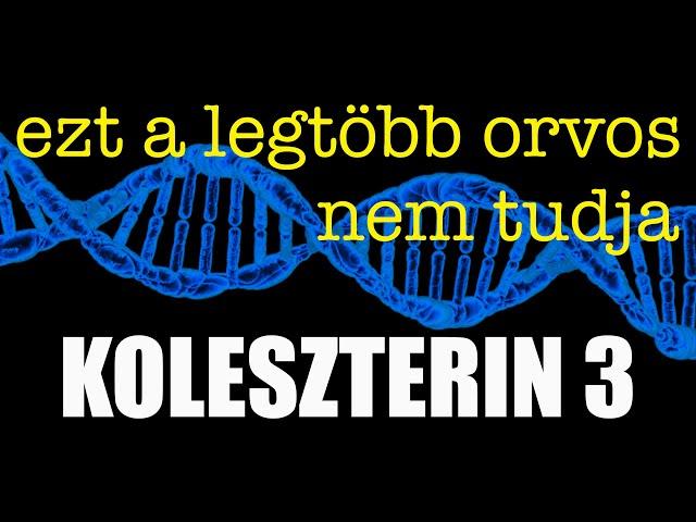 Ezt a legtöbb orvos nem tudja - a koleszterinről