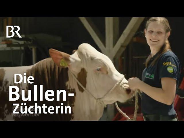 Bullen-Versteigerung: Zuchtviehauktion in der Oberpfalz | Landwirtschaft | BR | Rinder | Kühe