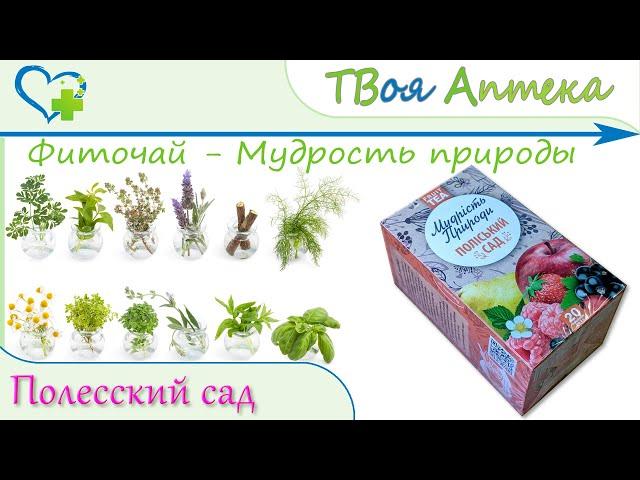 Фиточай Мудрость природы Полесский сад - показания, описание, отзывы