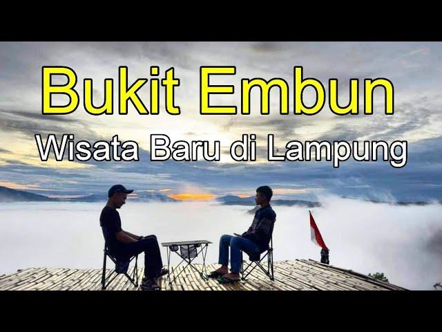 Bukit Embun Lampung Barat | Wisata Baru di Lampung 2024