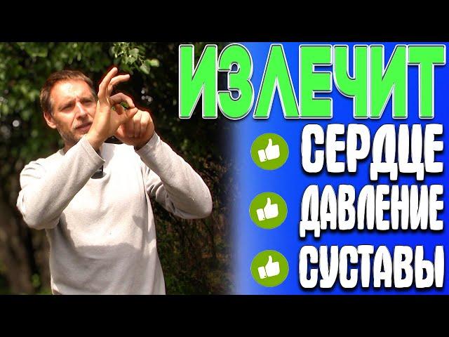 Всего ОДНО упражнение излечивает пол тела: СЕРДЦЕ, ДАВЛЕНИЕ, СУСТАВЫ, ВЕНЫ и ЛИМФУ. Делай приседания